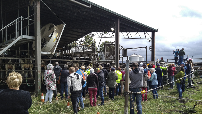 Pinzgauer World Congress