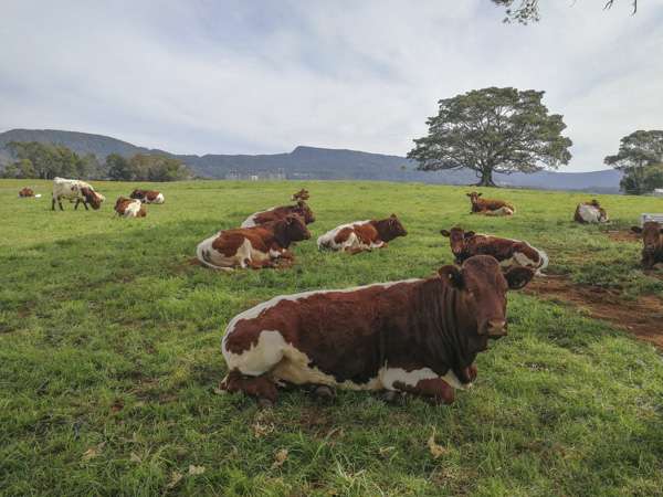 Fairfield Family Farm