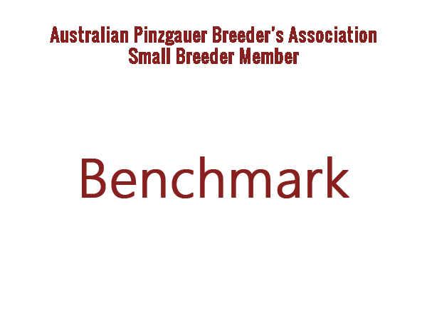 Benchmark