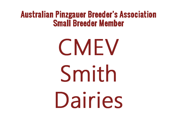 CMEV Stud