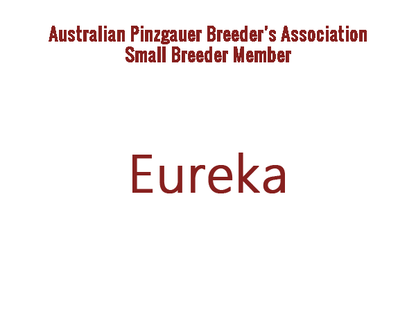 EUREKA Stud