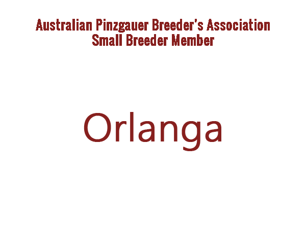 Orlanga