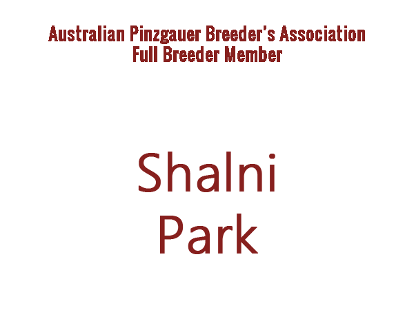 Shalni Park