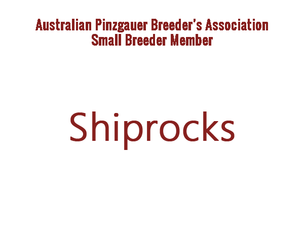 Shiprocks